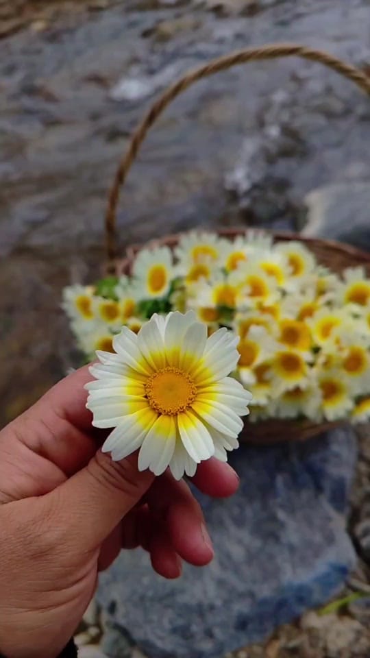 Post 1 by ❀ᥫ᭡...PAPATYA...ᥫ᭡❀ on TikTok (video)