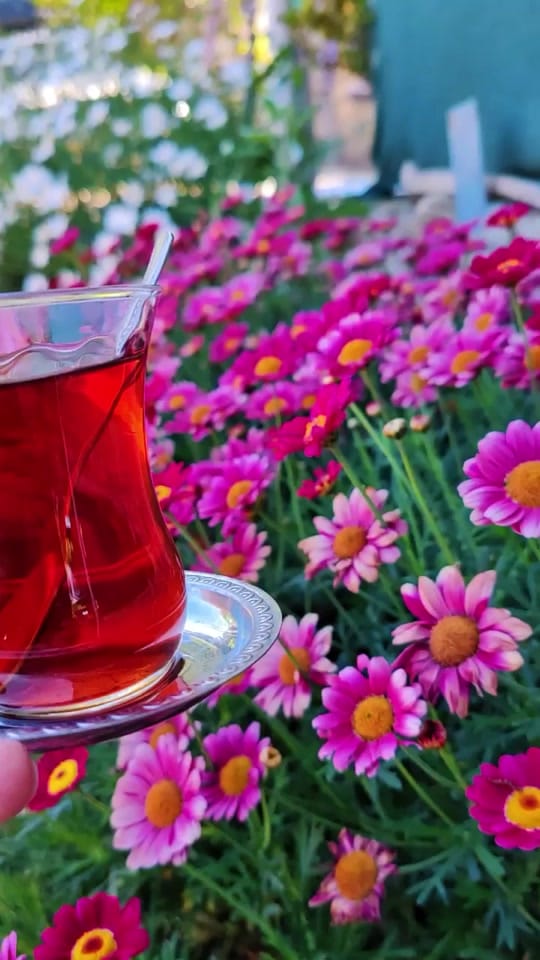 Post 4 by ❀ᥫ᭡...PAPATYA...ᥫ᭡❀ on TikTok (video)