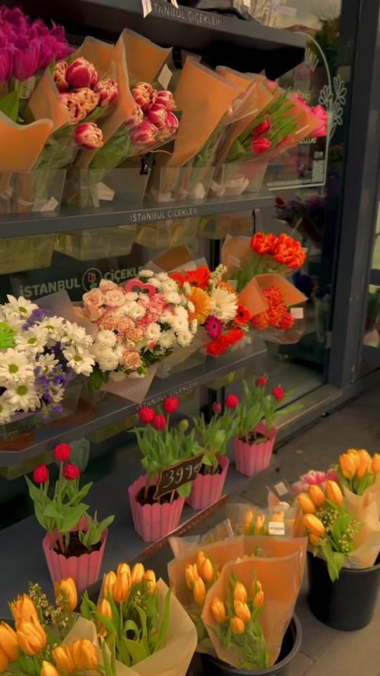 Post 4 by صـالـح on TikTok (video)
