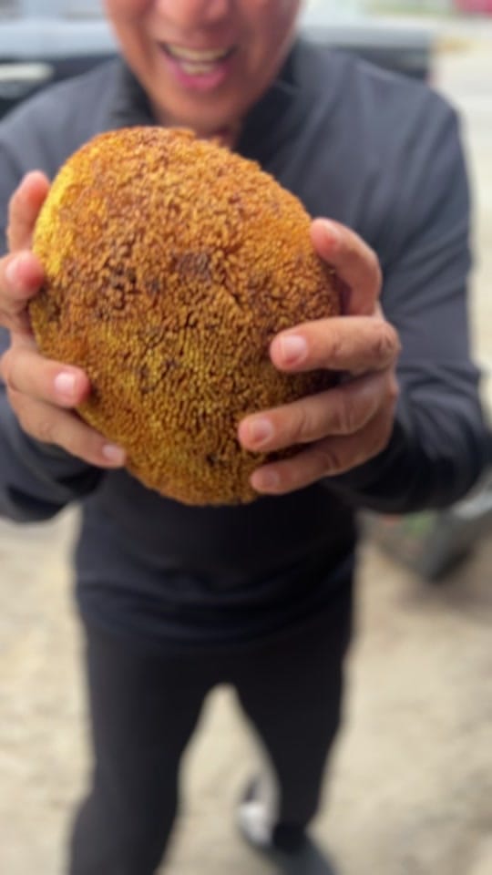 Post 10 by ABG SUR SABAH BEST PACKAGE on TikTok (video)