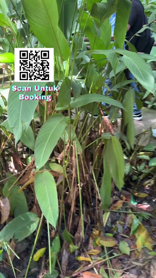Post 6 by ABG SUR SABAH BEST PACKAGE on TikTok (video)