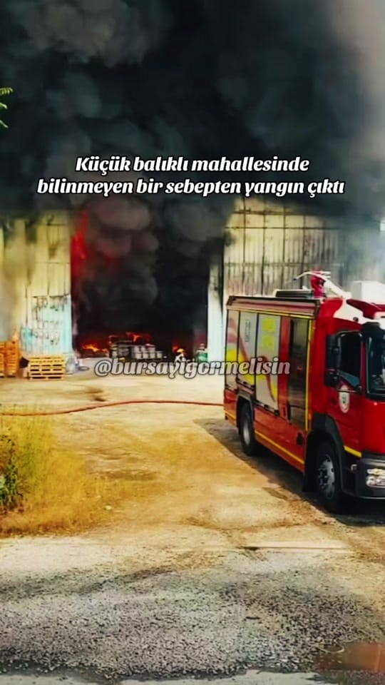 Post 6 by Bursayıgörmelisin on TikTok (video)