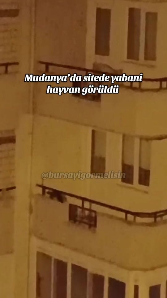 Post 8 by Bursayıgörmelisin on TikTok (video)