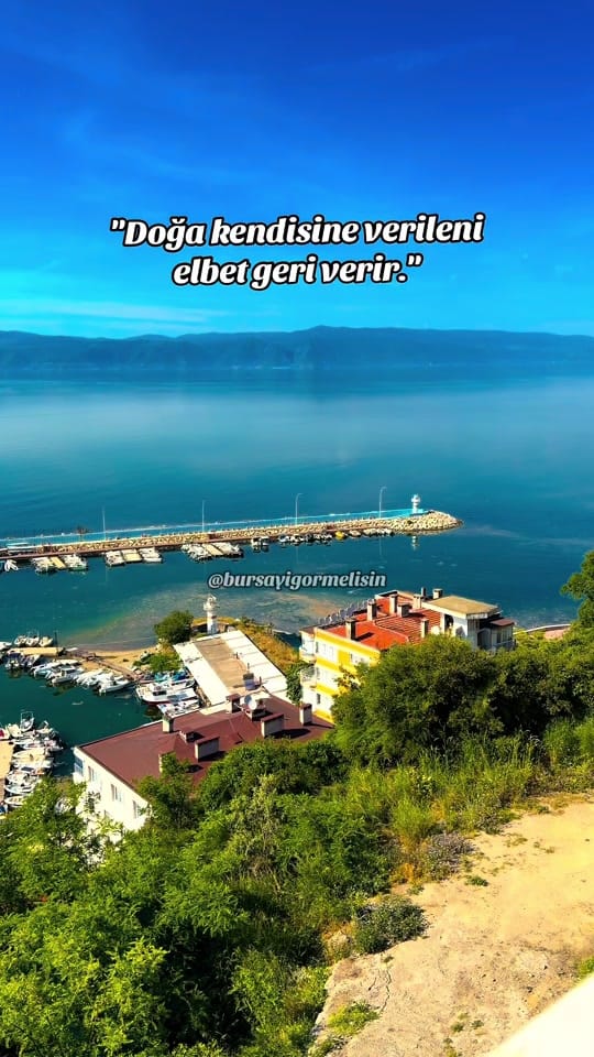 Post 5 by Bursayıgörmelisin on TikTok (video)
