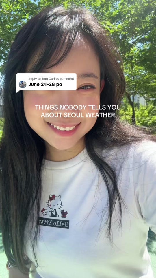 Post 3 by SeoulwithKamil on TikTok (video)