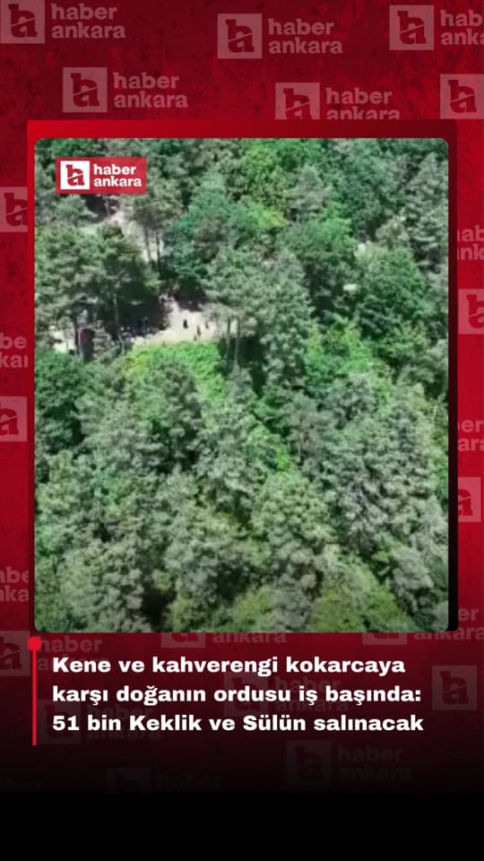 Post 5 by Haber Ankara on TikTok (video)
