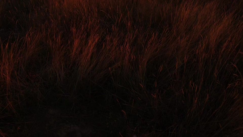 Post 8 by soul on TikTok (video)