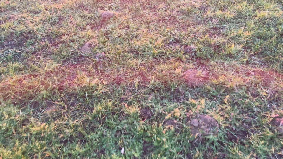 Post 10 by soul on TikTok (video)