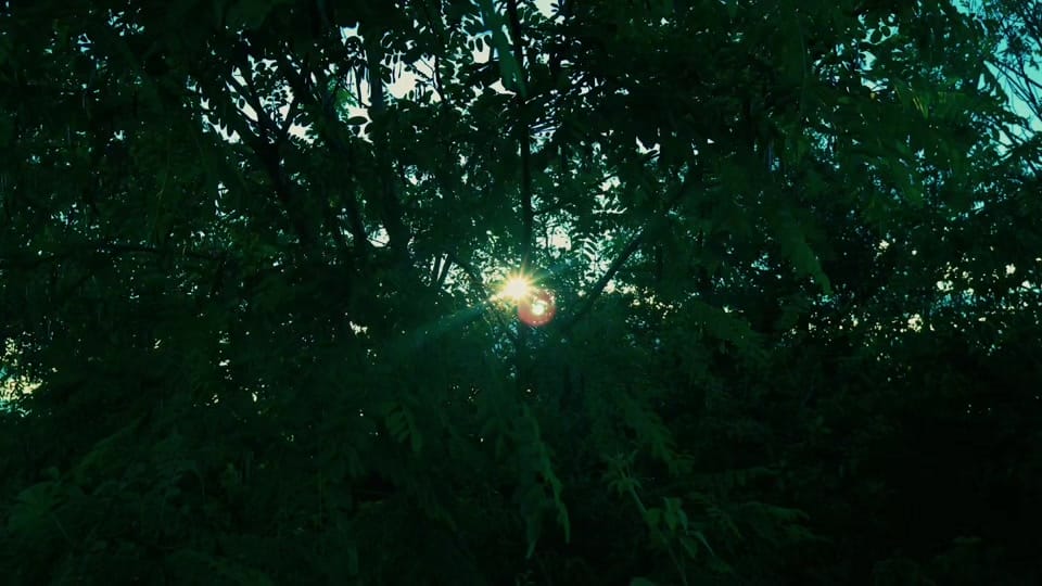 Post 5 by soul on TikTok (video)