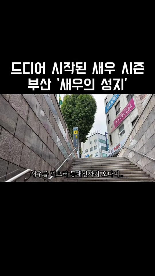 Post 7 by 먹부심⭐️(부산맛집) on TikTok (video)