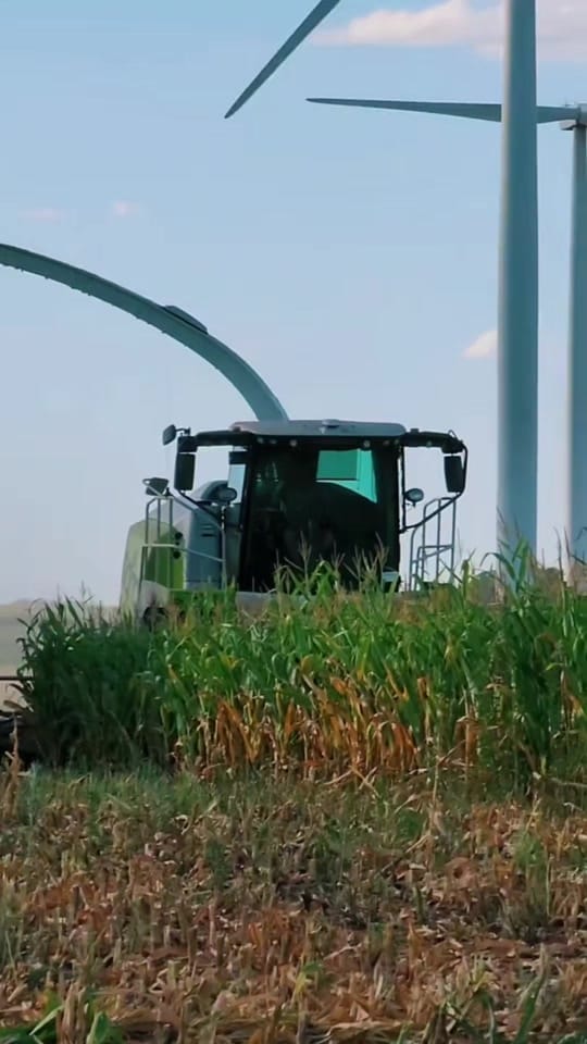 Post 9 by Cristian on TikTok (video)