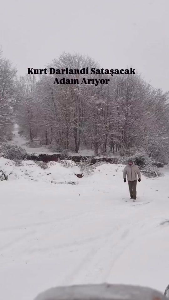 Post 5 by Kızma Birader on TikTok (video)