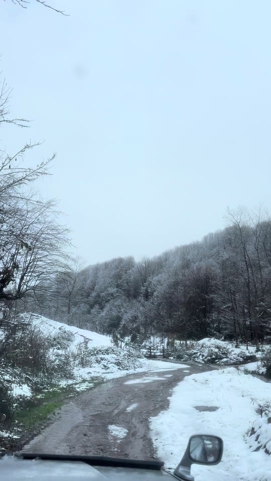 Post 6 by Kızma Birader on TikTok (video)