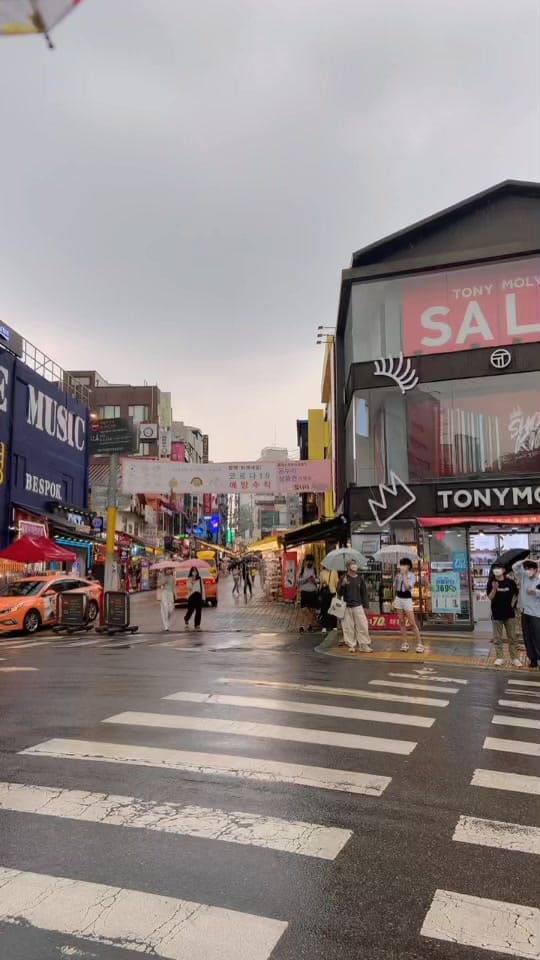 Post 6 by laura ʕ•ᴥ•ʔ on TikTok (video)