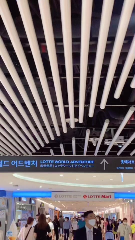 Post 8 by laura ʕ•ᴥ•ʔ on TikTok (video)