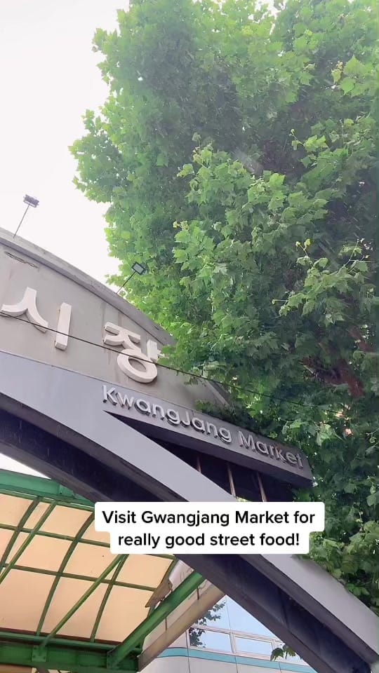 Post 5 by laura ʕ•ᴥ•ʔ on TikTok (video)
