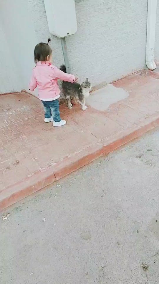 Post 10 by DAMLA ÖNAL on TikTok (video)