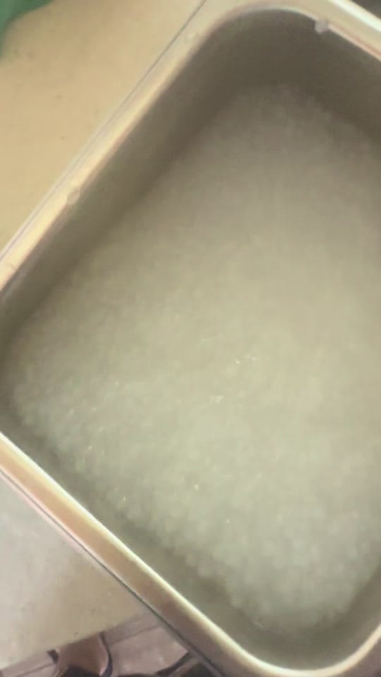 Post 6 by Mang’s TAHO on TikTok (video)
