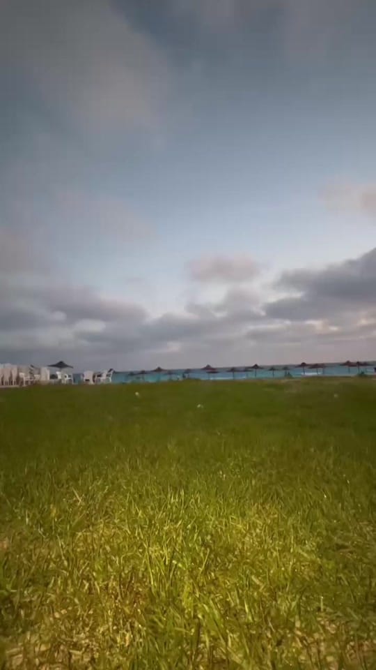 Post 1 by RewanElbesomy ✨ on TikTok (video)