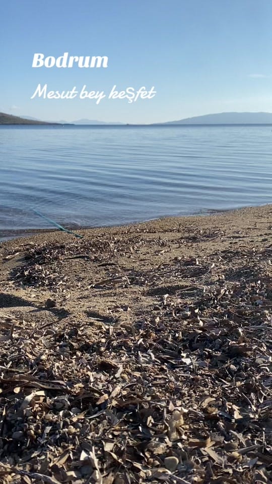 Post 2 by MESUT AKTAŞ on TikTok (video)
