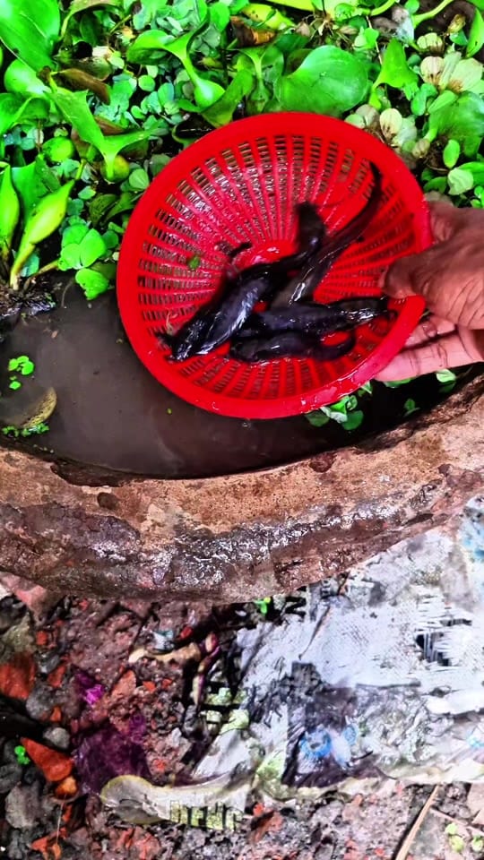 Post 4 by JAHIDTravelDream on TikTok (video)