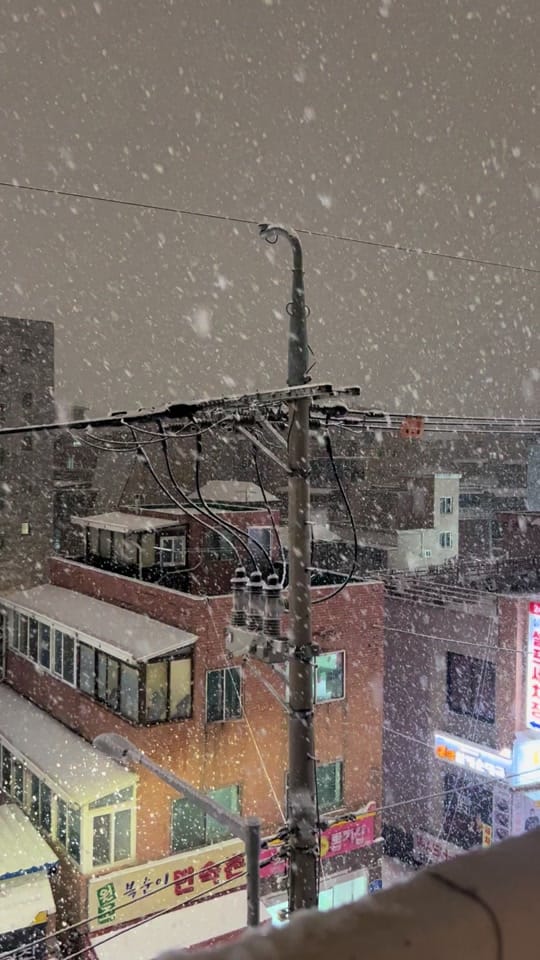 Post 6 by Tima’s Seoul on TikTok (video)