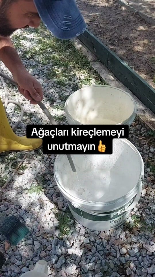 Post 10 by bahcemegel on TikTok (video)