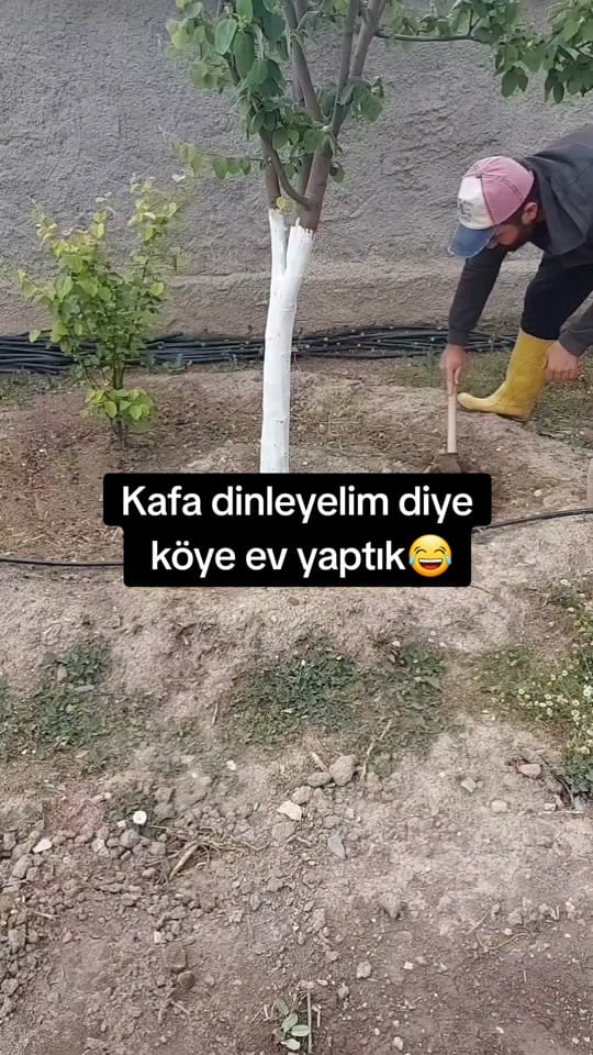 Post 9 by bahcemegel on TikTok (video)