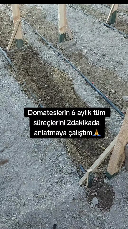 Post 8 by bahcemegel on TikTok (video)