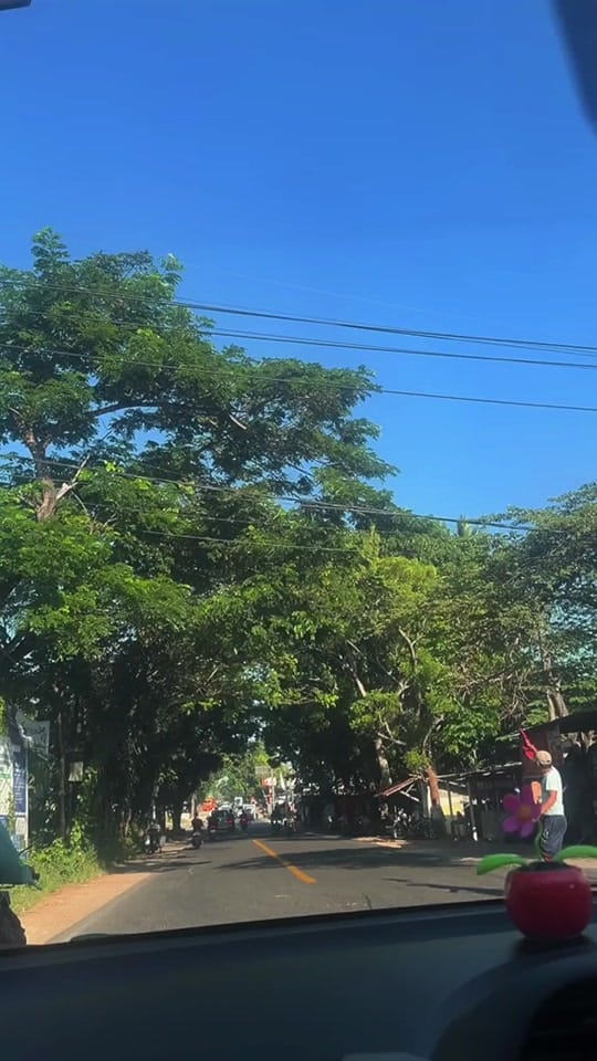 Post 7 by SUHARTATIK CHATOUR PAMEKASAN on TikTok (video)