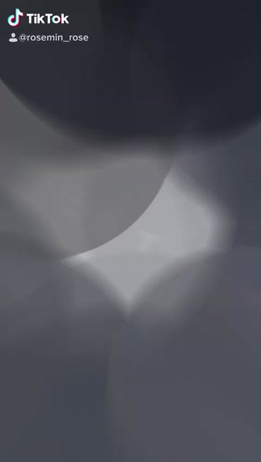 Post 1 by Beauty🌹& TheBeast🐺 on TikTok (video)