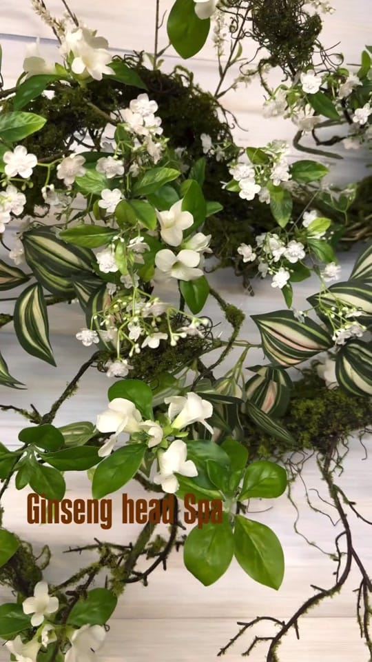 Post 2 by EcoJardin Aeogae on TikTok (video)