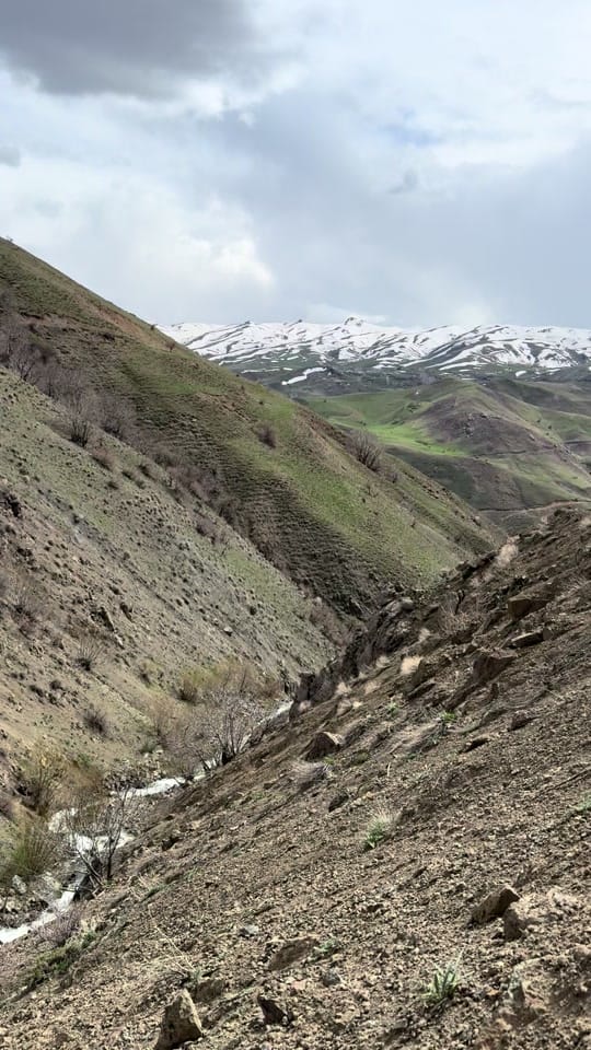 Post 7 by Şilan karaman on TikTok (video)