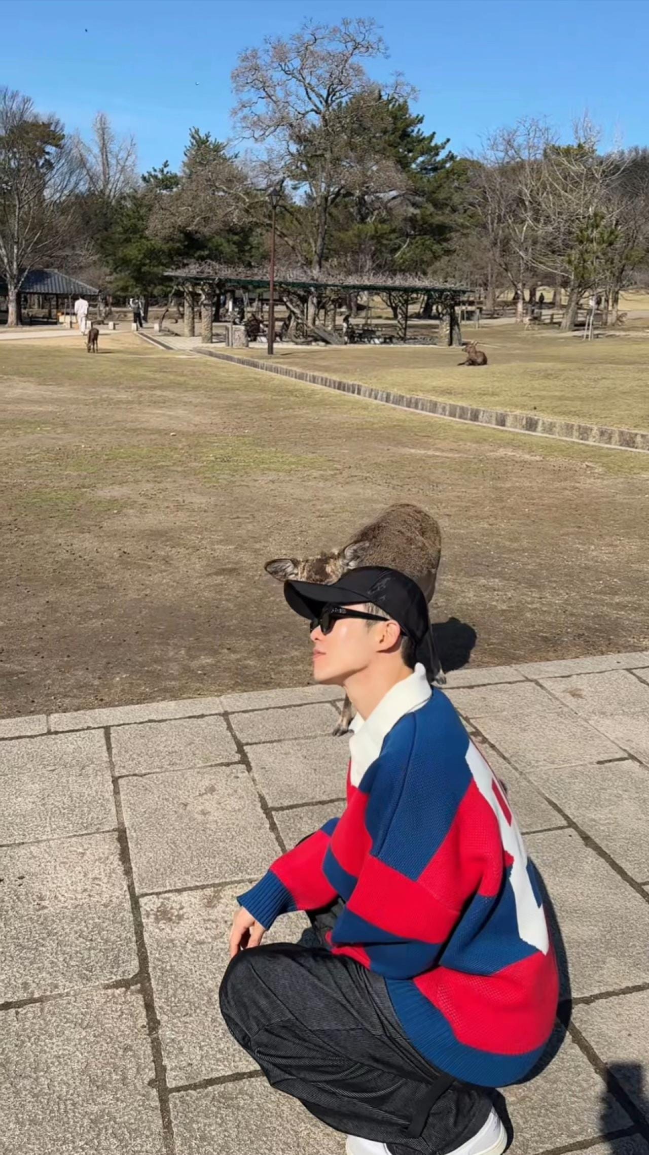 Post 2 by seoulmonkey_ on TikTok (video)