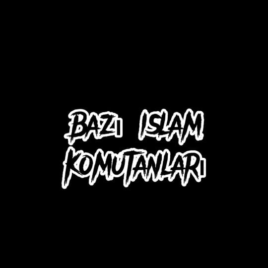 Post 3 by OSMANLI TORUNU on TikTok (video)