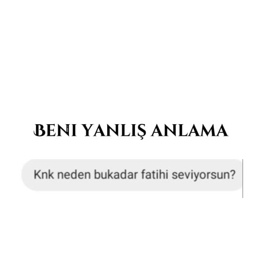 Post 4 by OSMANLI TORUNU on TikTok (video)