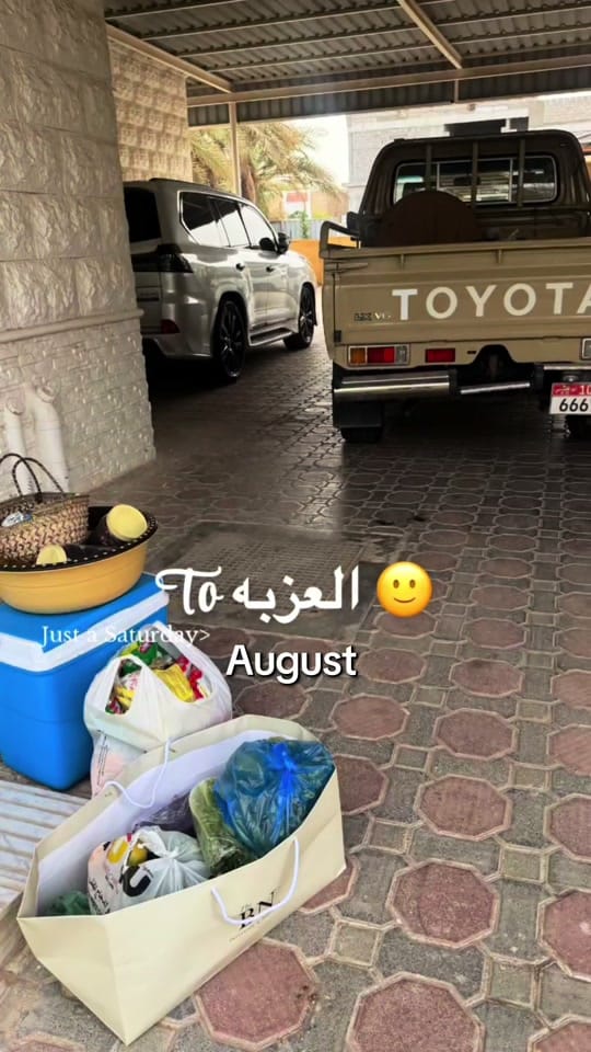 Post 8 by Shaikha alshamsi on TikTok (video)