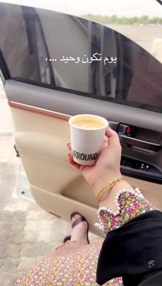 Post 3 by Shaikha alshamsi on TikTok (video)