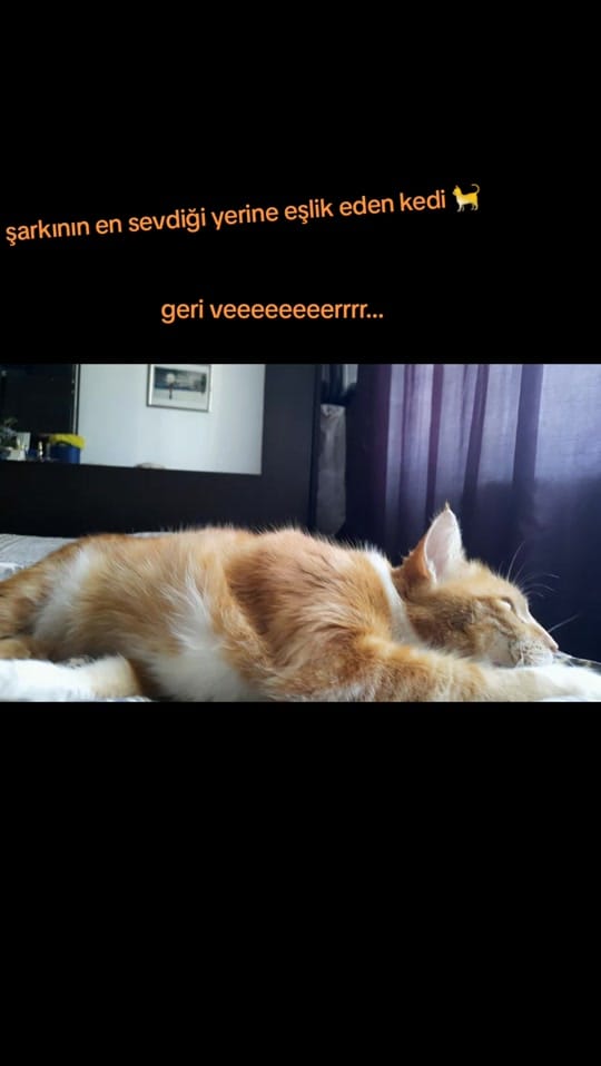 Post 9 by lucky on TikTok (video)