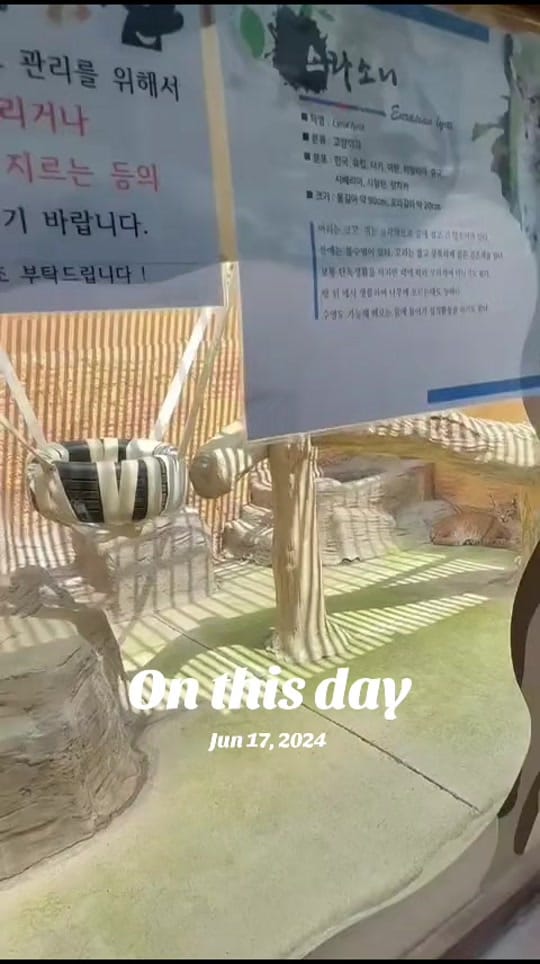 Post 5 by 🇱🇰 Thilini 🇰🇷 on TikTok (video)