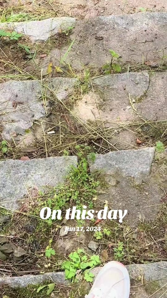 Post 4 by 🇱🇰 Thilini 🇰🇷 on TikTok (video)