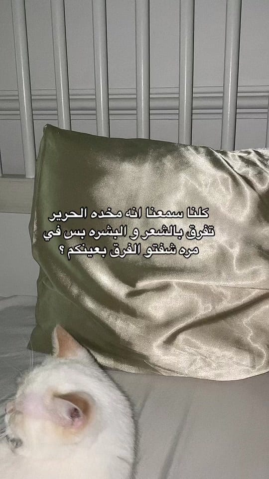 Post 10 by silk pillows✨ on TikTok (video)