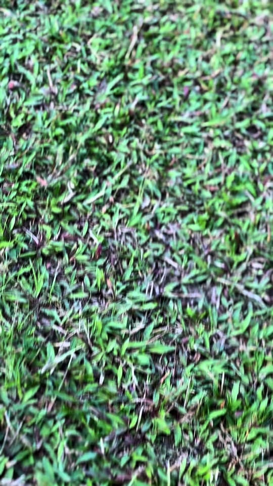 Post 6 by B-boyshopp on TikTok (video)