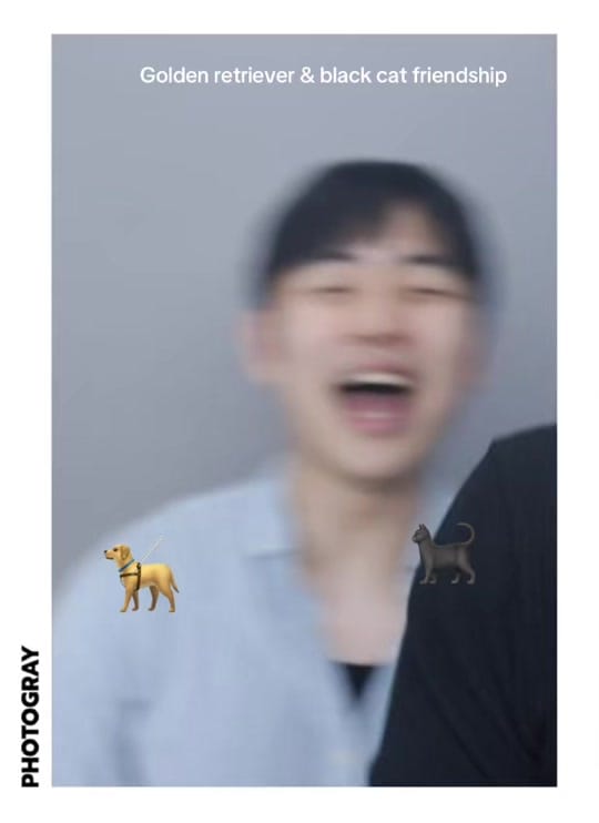 Post 8 by yunooo121 on TikTok (video)