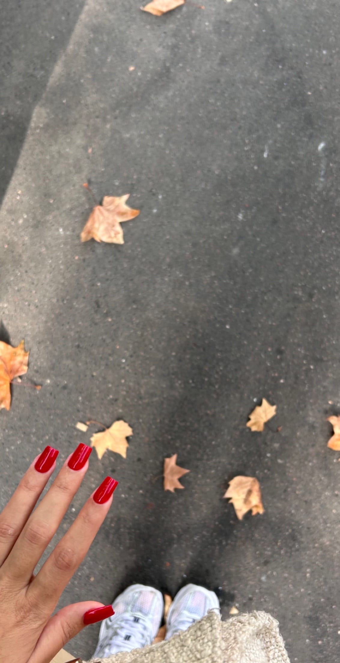 Post 2 by sarahsolarah on TikTok (video)