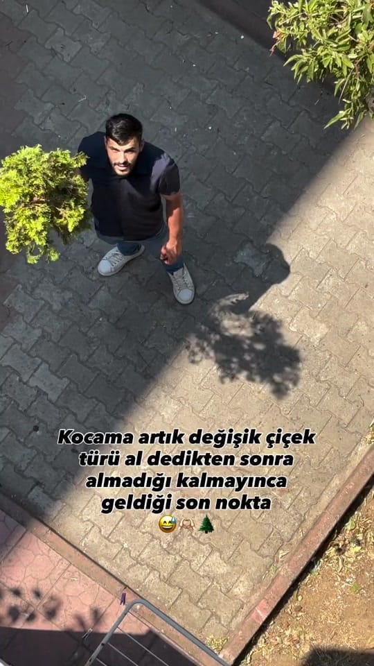 Post 7 by aysenurkc0634 on TikTok (video)