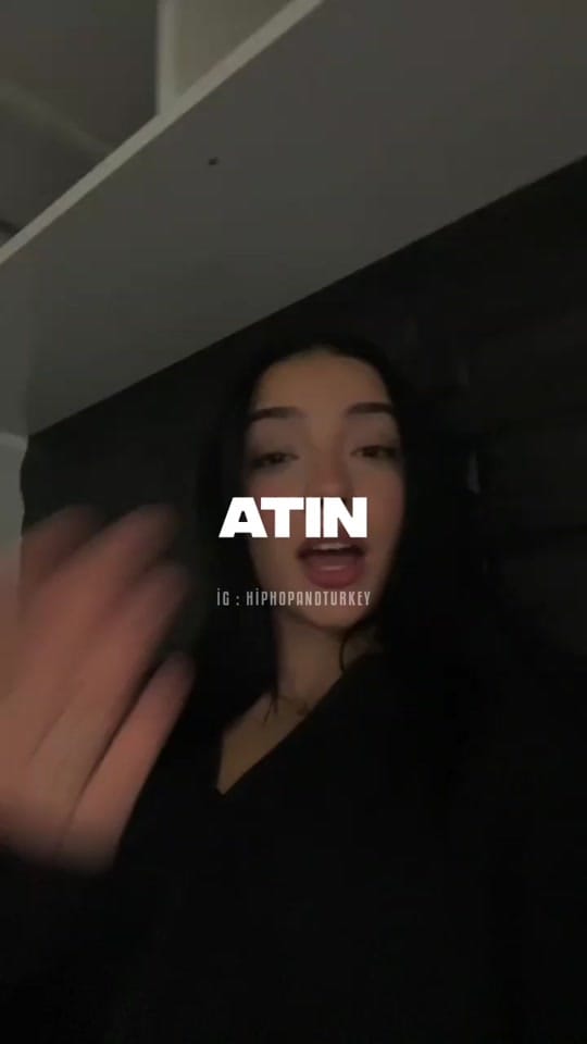 Post 7 by Hiphop And Turkey on TikTok (video)