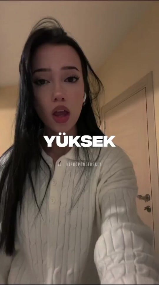 Post 1 by Hiphop And Turkey on TikTok (video)