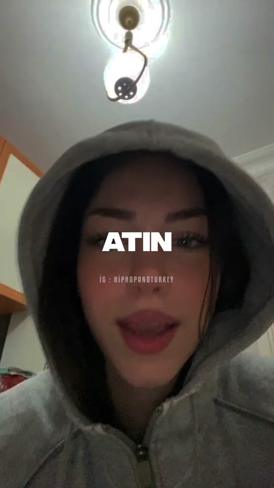 Post 9 by Hiphop And Turkey on TikTok (video)