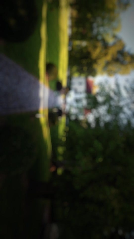 Post 4 by aydin.weddings on TikTok (video)